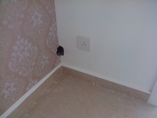 家庭裝修“十不要”想少走彎路的速進!