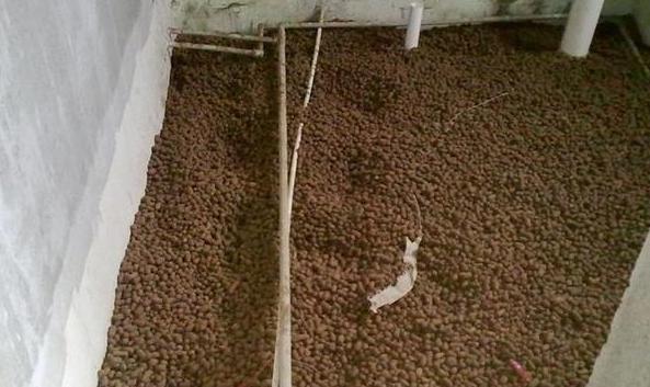 原來下沉式衛(wèi)生間回填要這么做才滴水不漏，難怪我家墻根都發(fā)霉了