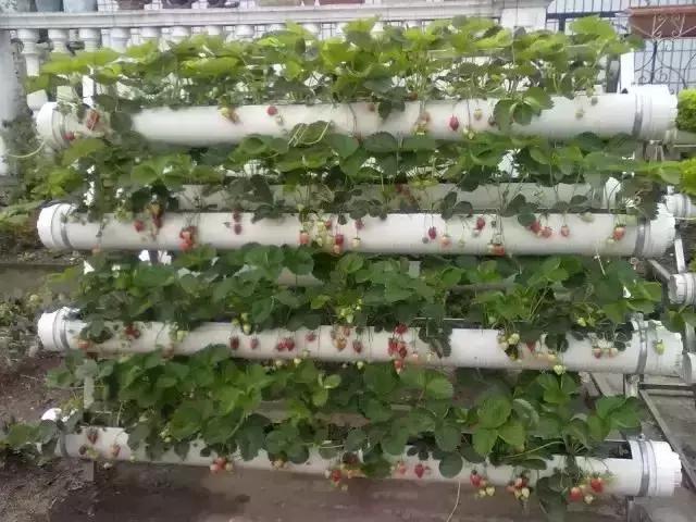 家里裝修完，剩下的管子一定不要扔掉，這樣做值大價錢！