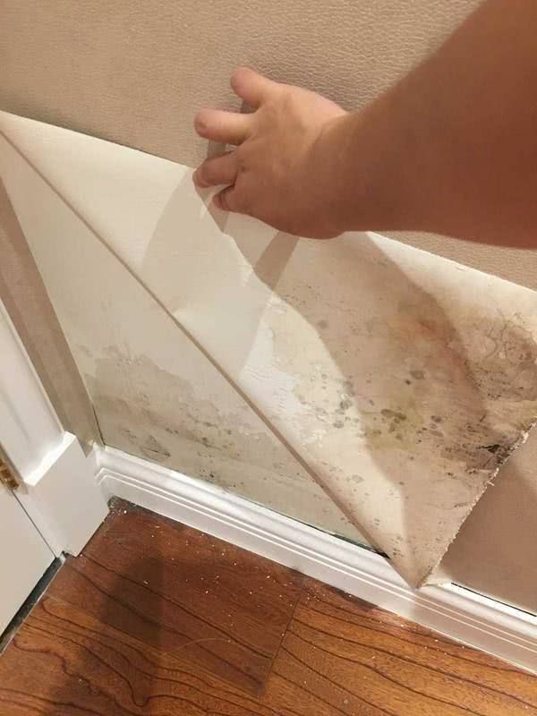 1545454179.jpg 5.jpg