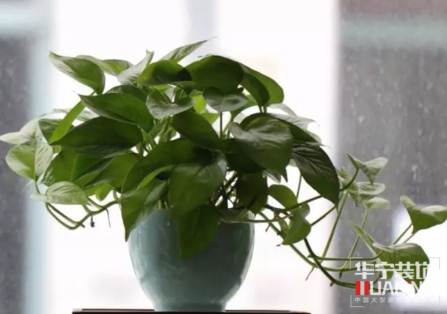 1552363720.jpg 6.webp.jpg