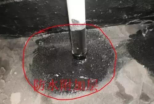 1554695024.jpg 7.jpg