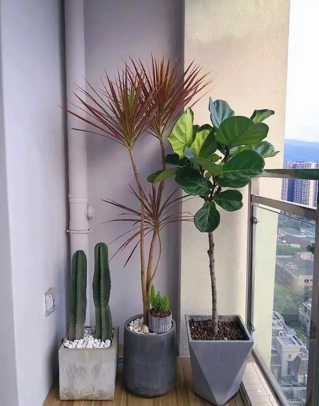 排水管道外露很丑?直接裹一圈麻繩還不到兩塊錢 - 后花園網(wǎng)文 - 家居新聞 排水管道外露很丑?直接裹一圈麻繩還不到兩塊錢 - 后花園網(wǎng)文 - 家居新聞