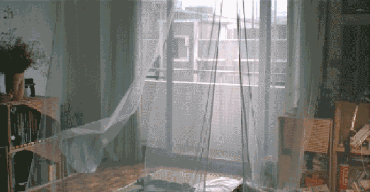 1623377521.gif 0.gif